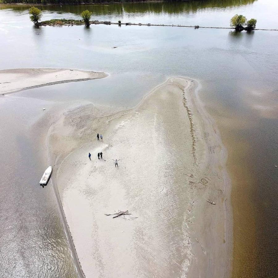 Danube Fairy Villa Futak Kültér fotó