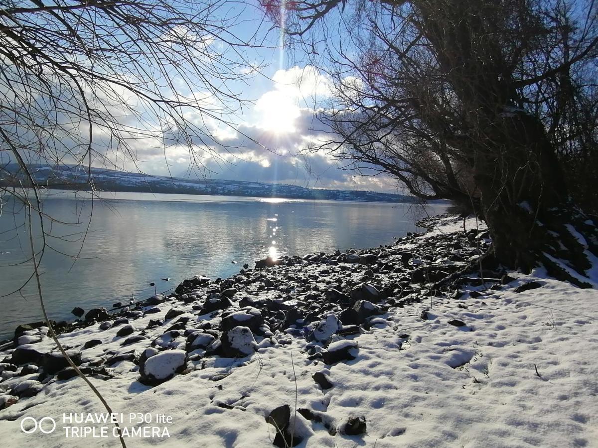 Danube Fairy Villa Futak Kültér fotó