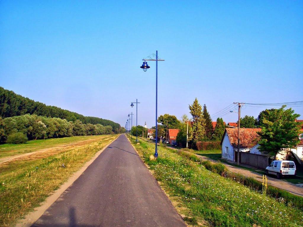 Danube Fairy Villa Futak Kültér fotó