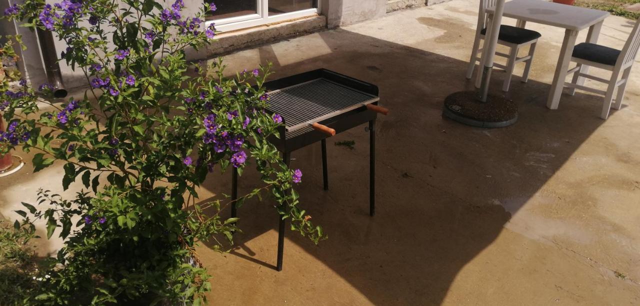 Danube Fairy Villa Futak Kültér fotó