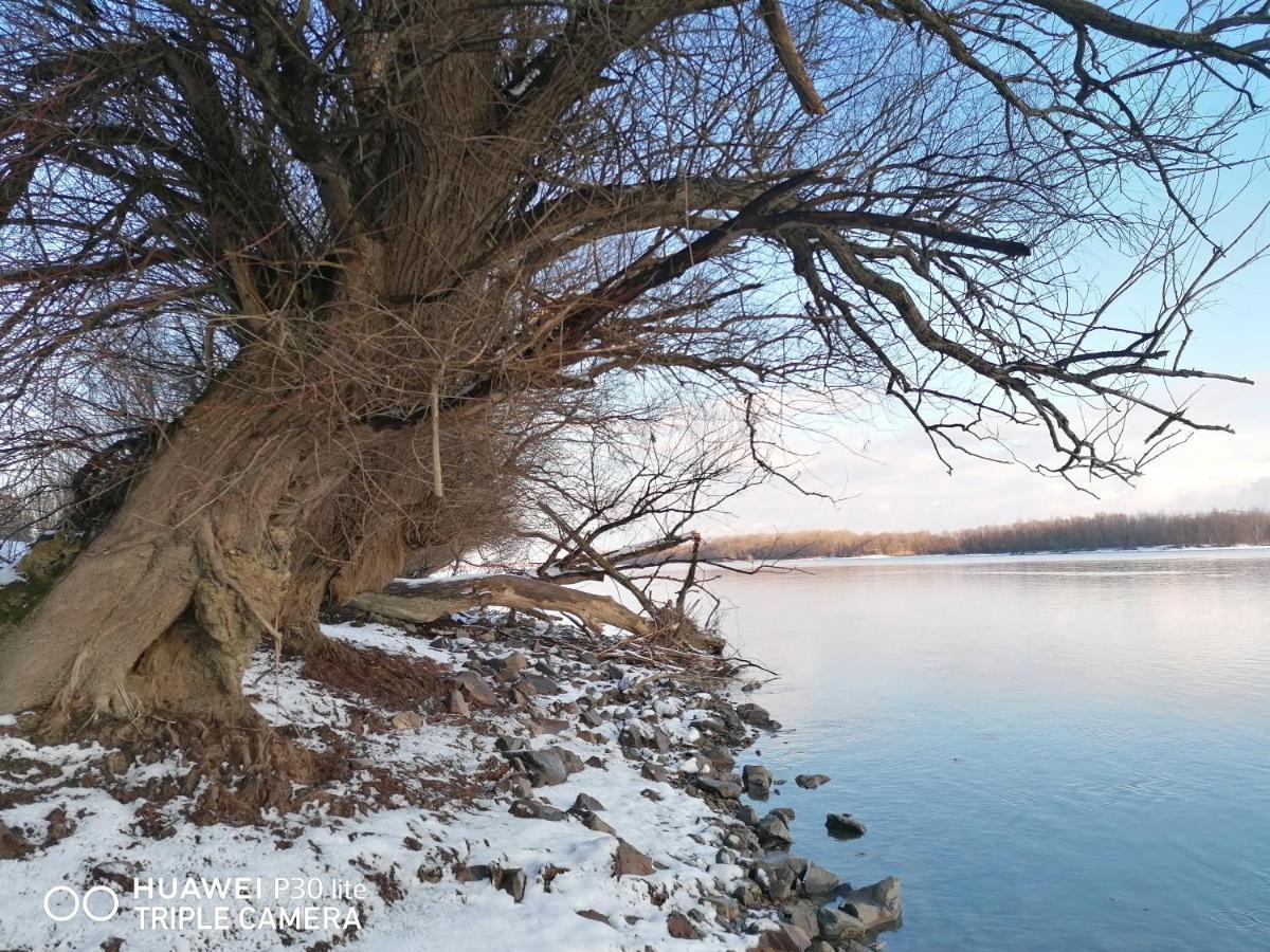 Danube Fairy Villa Futak Kültér fotó