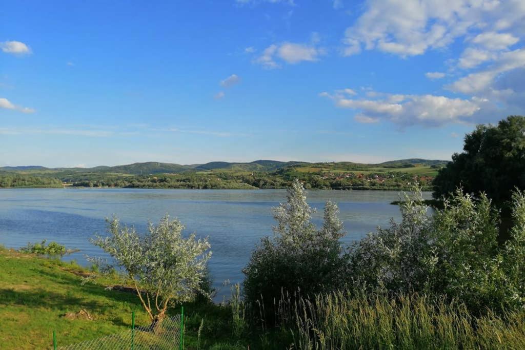 Danube Fairy Villa Futak Kültér fotó