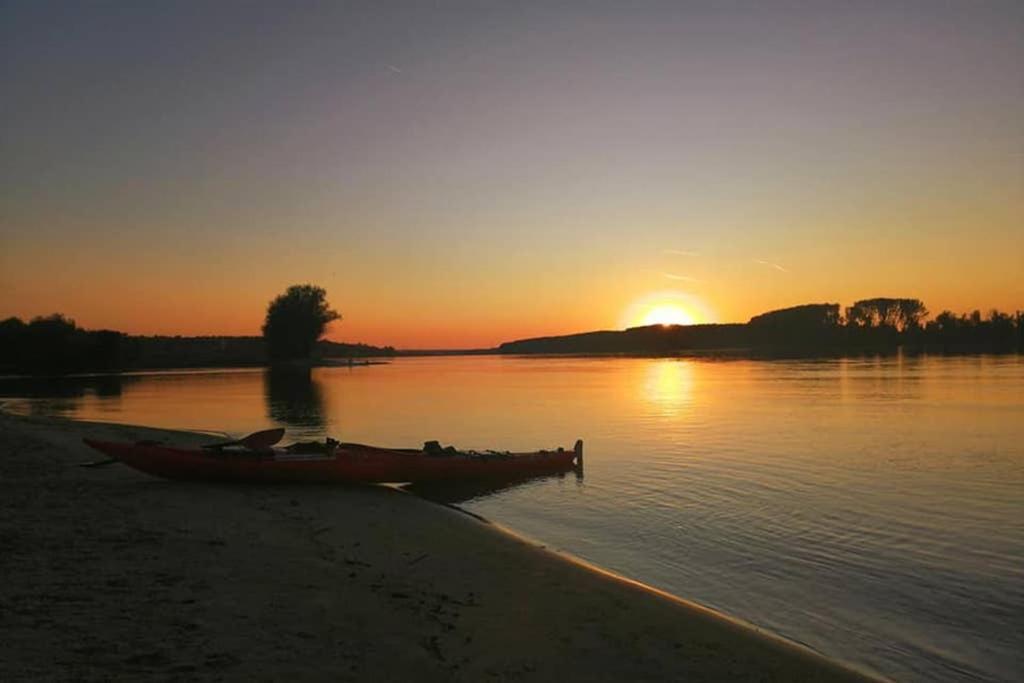 Danube Fairy Villa Futak Kültér fotó