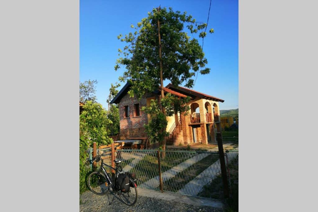 Danube Fairy Villa Futak Kültér fotó